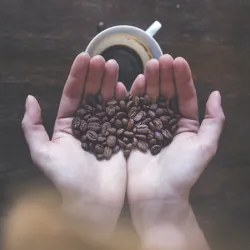 Poradnik baristy - wstęp