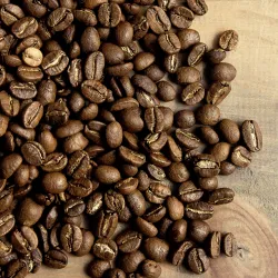 Mexico SHG EP UCIPA El Trunfo waga 250