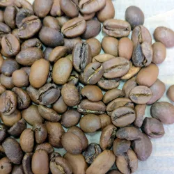 Ethiopia Yirgacheffe Kochere Natural waga 250 zmielona do kawiarka (moka)