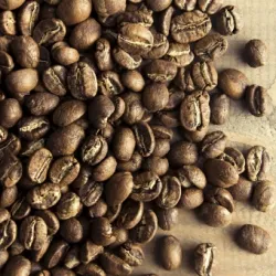 Testy: Burundi Kayanza Microlot Bourbon Washed