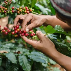 W krajach Ameryki Środkowej, cz. 2 - w górach Salwadoru (Podróży z Kawą odcinek piąty)