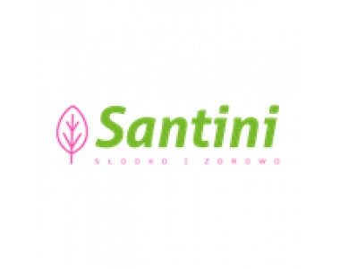 Logo - Santini