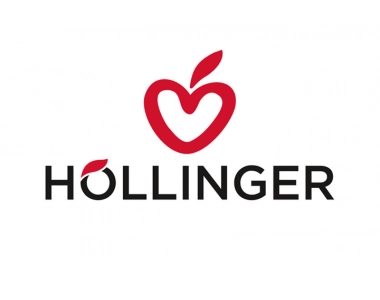 Logo - Hollinger