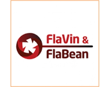 Logo - FlaBean