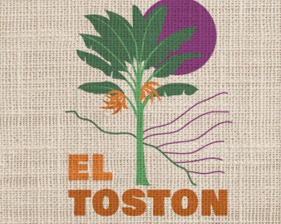 Nicaragua Dipilto El Toston Washed waga 250g mielenie kawiarka (moka)