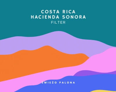 Costa Rica Hacienda Sonora Caturra Natural waga 250g mielenie French Press/Aeropress