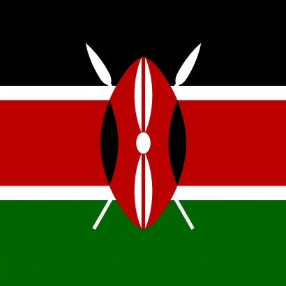 Kenya The Slopes of 8 AA microlot waga 1000 - miniatura 1