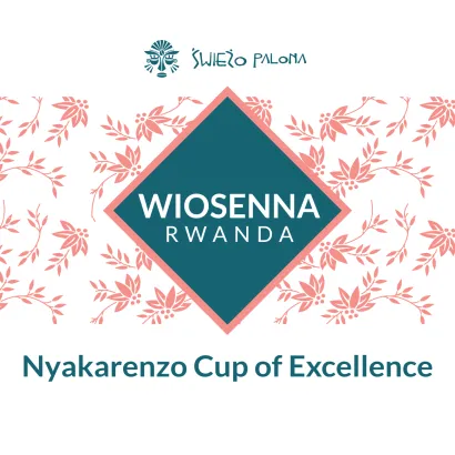 Wiosenna Rwanda - Nyakarenzo Cup of Excelence 250 - miniatura 2