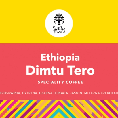 Ethiopia Guji Dimtu Tero Washed waga 250 - miniatura 2