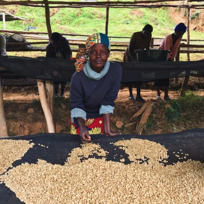 Rwanda Nyabarongo Washed waga 1000 - zdjęcie 2