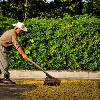 Costa Rica Hacienda Sonora Natural waga 200 - zdjęcie 4