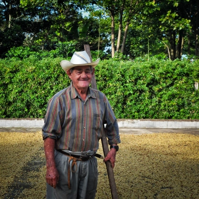 Costa Rica Hacienda Sonora Natural waga 1000 - zdjęcie 3