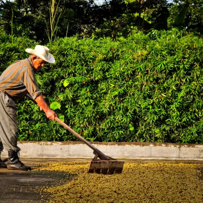Costa Rica Hacienda Sonora Natural 1000 - zdjęcie 4