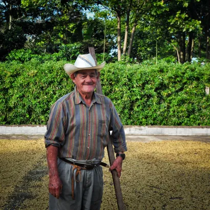 Costa Rica Hacienda Sonora Natural 200 do French Press/Aeropress - zdjęcie 3