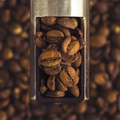 Brazil Sitio Sao Lucas Natural Omniroast 1000 - miniatura 2