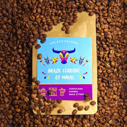 Brazil Cerrado Natural kawa ziarnista mielona waga 250g zmielona do ekspresu kolbowego domowego - miniatura 2