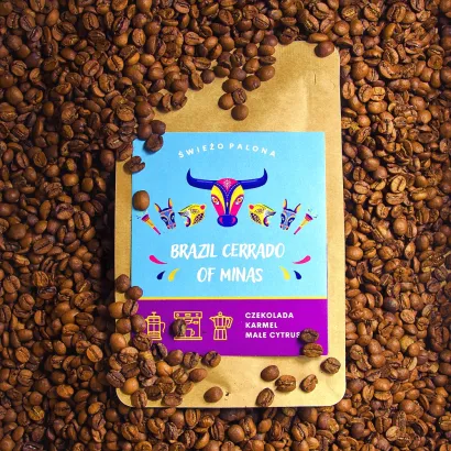 Brazil Cerrado Natural kawa ziarnista waga 3 kg zestaw 3 x 1 kg - miniatura 2