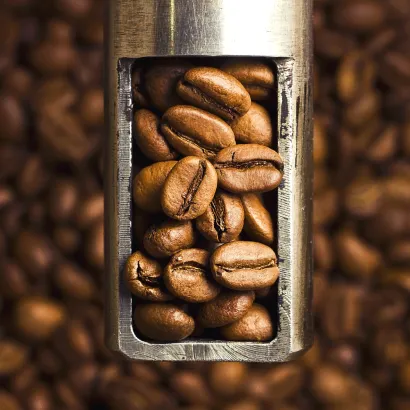 Ethiopia Yirgacheffe Reko Gr. 1 Natural 1000 - miniatura 2