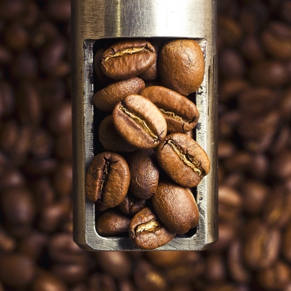 Bolivia Taypiplaya Washed waga 250 zmielona do french press/Aeropress - miniatura 2