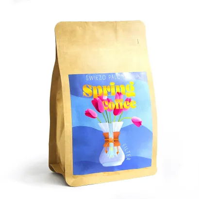Spring Coffee Ethiopia Tega Tula Michiti Natural 250 - miniatura 1