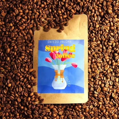 Spring Coffee Ethiopia Tega Tula Michiti Natural 250 do przelew/drip/chemex - miniatura 2
