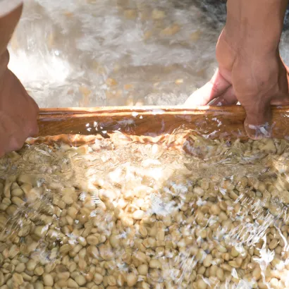 PIXEL Guatemala La Maravilla Mescal Bajo Washed 250 - zdjęcie 4