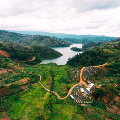 PIXEL Rwanda Nyamasheke Kilimbi Honey kawa ziarnista waga 250 - zdjęcie 2