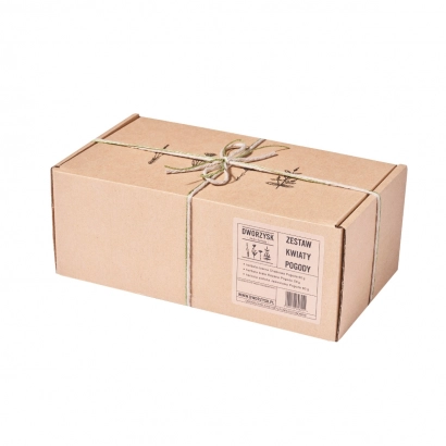 Dworzysk Zestaw herbaciany Kwiaty Pogody - miniatura 2