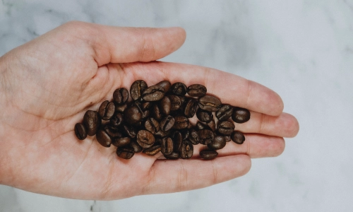 Jakie są typy kaw i czym się cechują?
