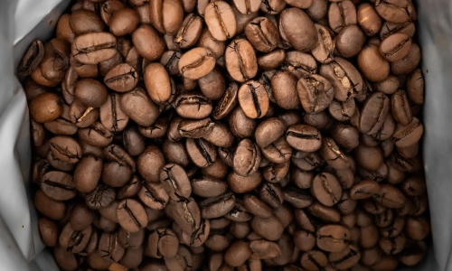 Mykotoksyny w kawie, czyli pleśń - czy to niebezpieczne? Jak znaleźć kawę bez ochratoksyny i aflatoksyny?