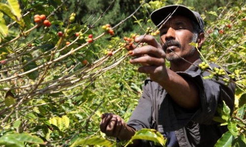 Fair Trade - co to właściwie jest?
