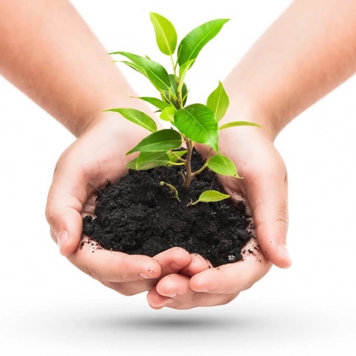 Jesteśmy coraz bardziej ekologiczni dzięki NatureFlex!