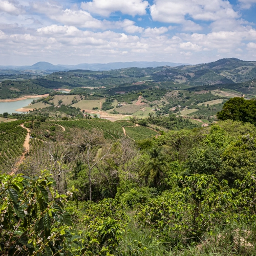 Podróże z kawą: Brazylia