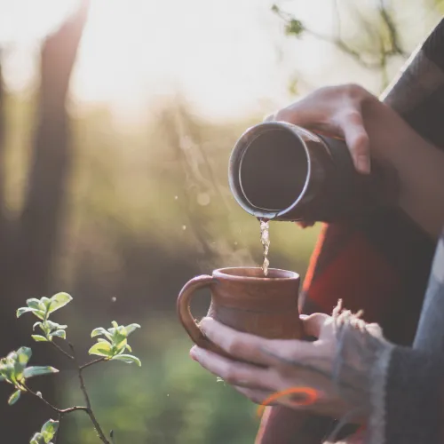 Gdzie produkuje się czarną herbatę na świecie i czym różni się zależnie od pochodzenia?