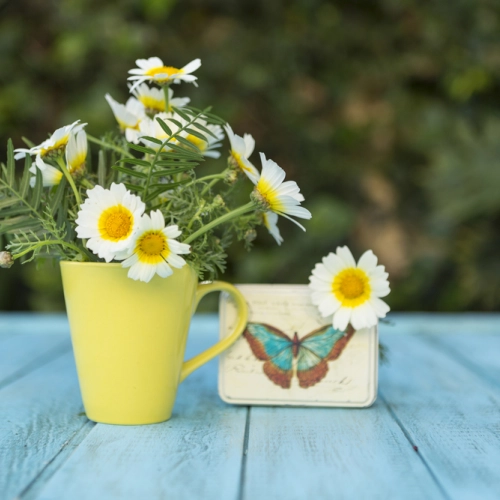 Korzyści zdrowotne rumianku: dlaczego warto pić herbatę z rumianku?