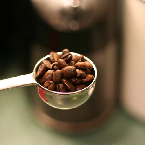 Sekret baristy 2 - kawa idealna