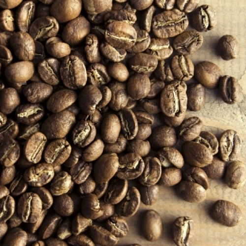 Testy: Burundi Kayanza Microlot Bourbon Washed