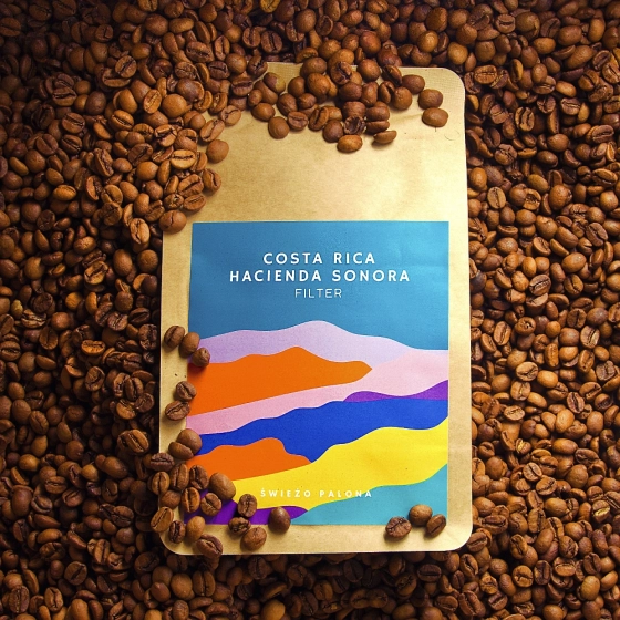 Costa Rica Hacienda Sonora Natural Waga 1000G