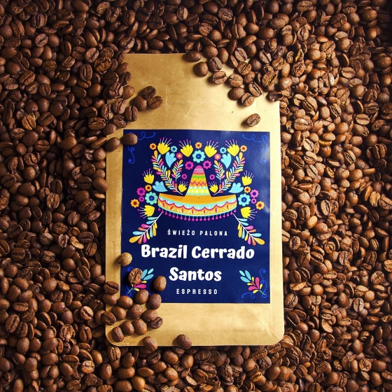 Brazil Cerrado Santos Natural Waga 1000G