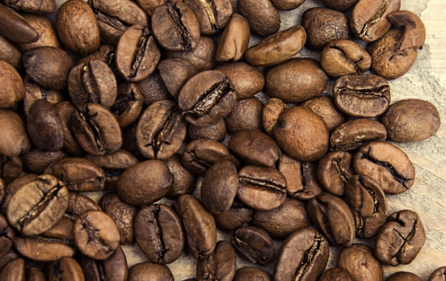 Odmiana kawy: CATUCAI