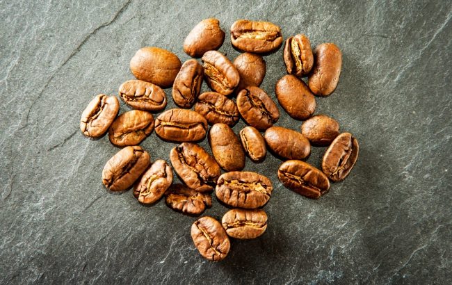 Odmiana kawy: MARAGOGYPE