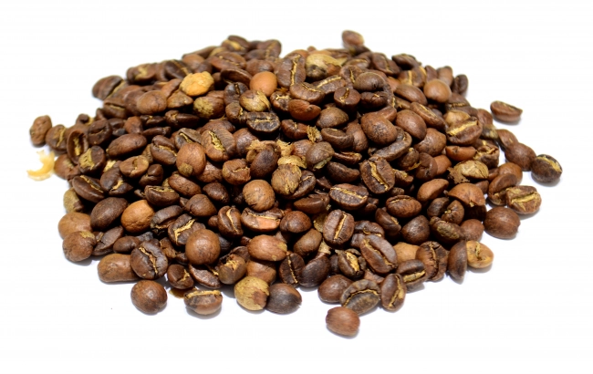 Odmiana kawy: PACAMARA