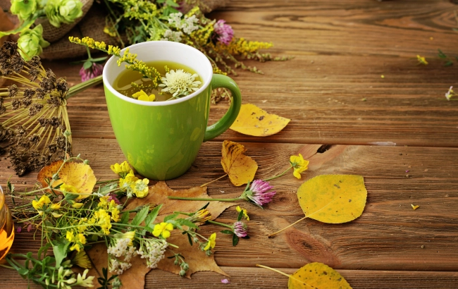 Sztuka ziołolecznictwa. Historia, która trwa do dzisiaj