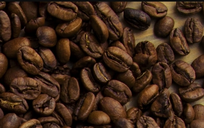 Odmiana kawy: Maracaturra