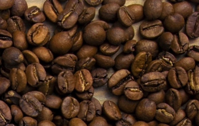 Odmiana kawy: Yellow Catucai 2SL