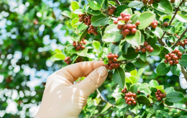 Czy wysokość ma znaczenie?