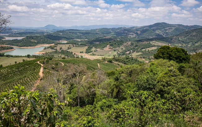 Podróże z kawą: Brazylia