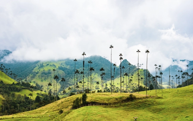 Podróże z kawą: Kolumbia