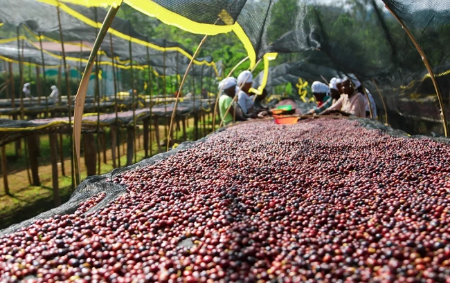 Krótka historia Aricha washing station