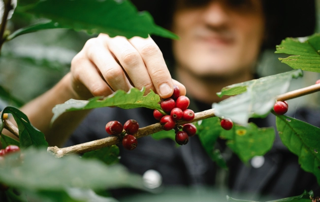 Podróże z kawą: Etiopia